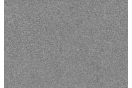 NE41 - LIGHT GREY LEATHER