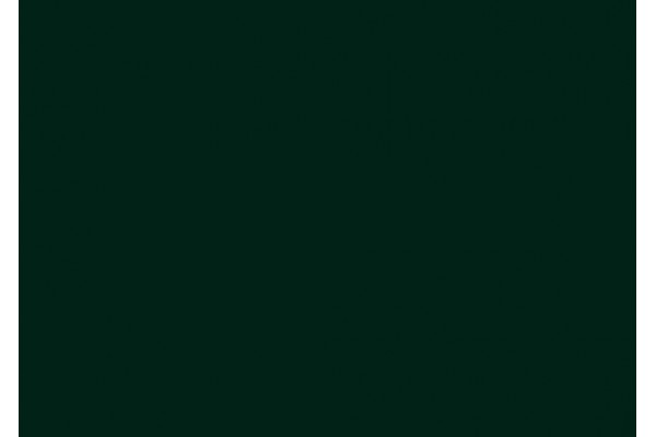 NF13 - SOFT WINTER GREEN