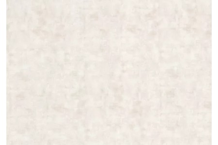 NG19 - WHITE BRONZED LEATHER