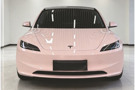 MOTIVA PPF SHELL PINK