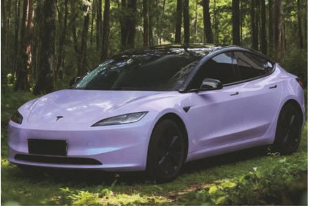 MOTIVA PPF XING DAI PURPLE MOTIVA PPF XING DAI PURPLE