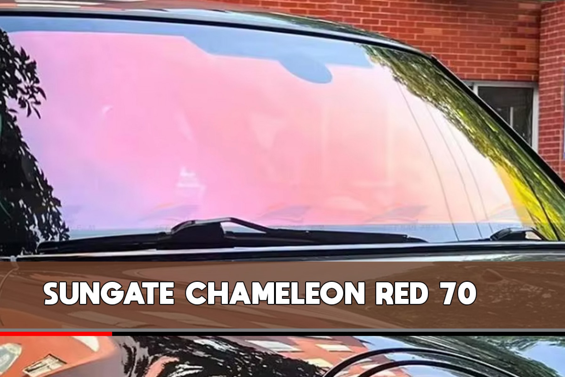 SUNGATE CHAMELEON RED 70 - 1.52M